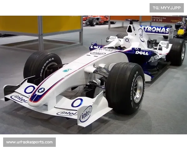 中国车迷穿“换胎组监工”反光背心,呼吁索伯车队提升效率 中国车迷穿“换胎组监工”反光背心,呼吁索伯车队提升效率